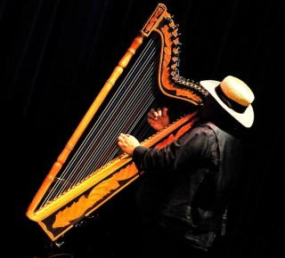 Photo of harpist Carlos Reyes.
