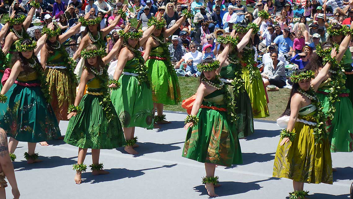 Photo of a large group of hula dancers