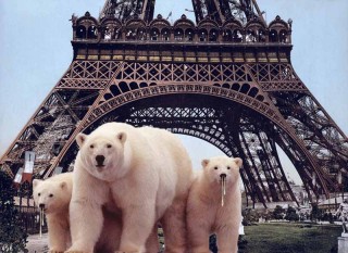 Bearnardo in Paris with snot-nosed little cubbies