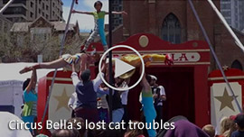 Video Link: Circus Bella's lost cat troubles