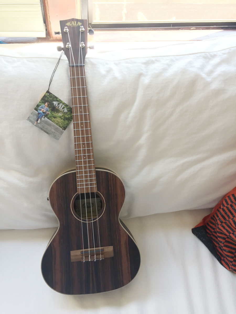 Photo of a Kala brand striped ebony wood tenor ukulele