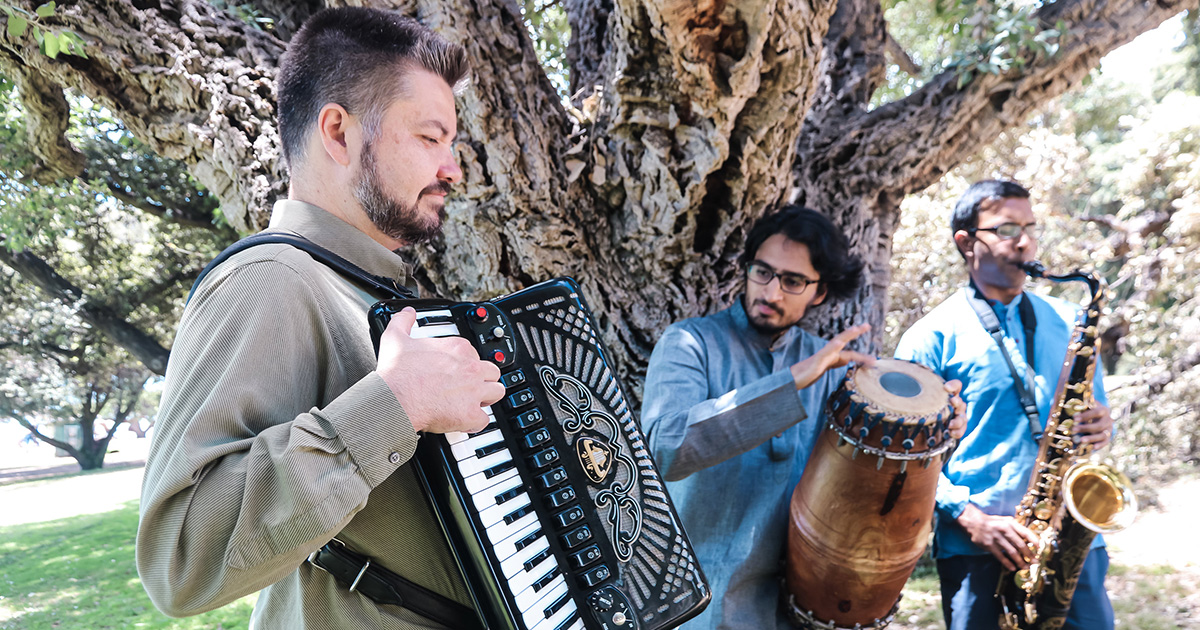 Alaya Project musicians playing around a large tree, under it's branches.