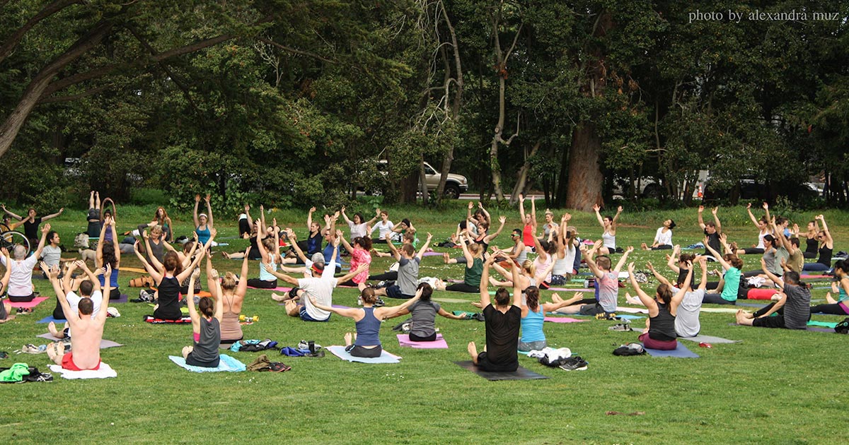 Photo of a large group of people sitting in a park with their arms raised in yoga position